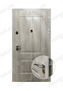 Металлическая внутренняя дверь - модель - 10-052