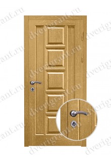 Металлическая дверь - модель - 10-061