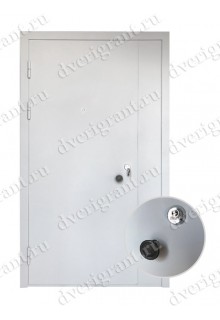Металлическая нестандартная дверь - модель - 14-013