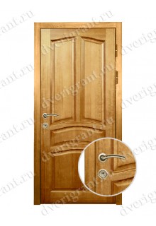 Металлическая дверь - модель - 12-002