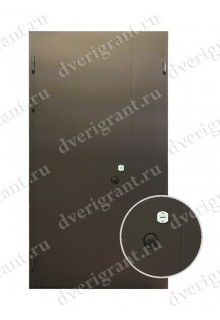 Металлическая дверь - модель - 23-003