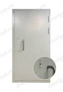 Металлическая дверь - модель - 22-025