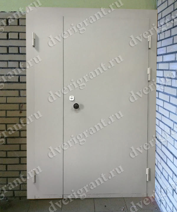 Металлическая дверь - модель - 10-30
