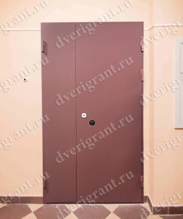 Металлическая дверь - модель - 10-35