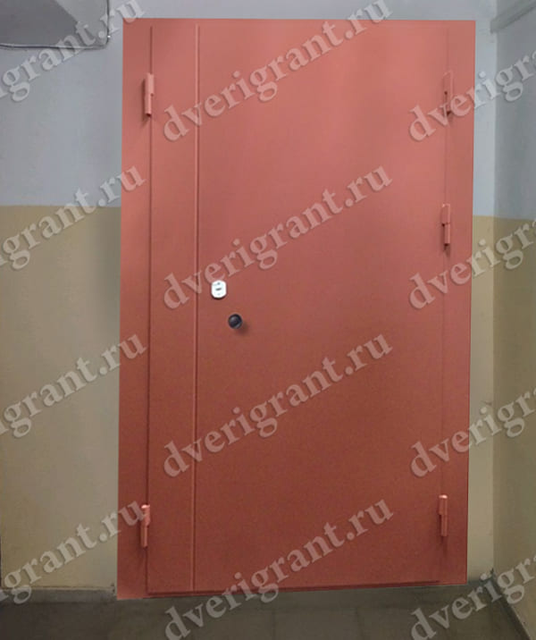 Металлическая дверь - модель - 10-41