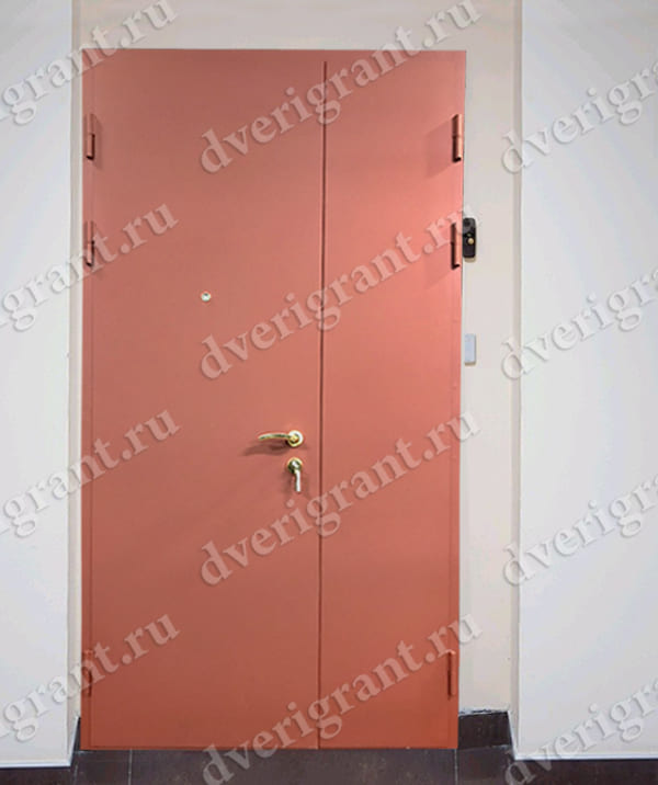 Металлическая дверь - модель - 10-43