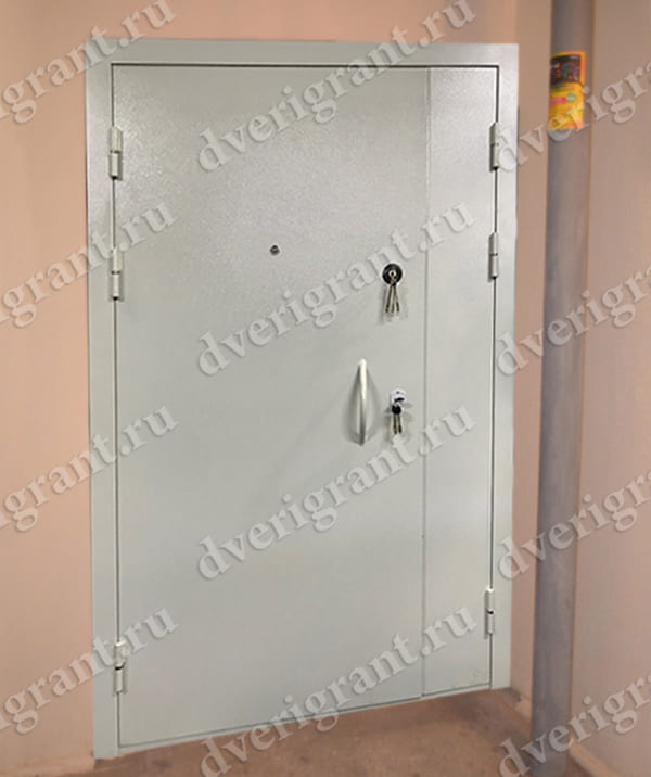 Металлическая дверь - модель - 10-45
