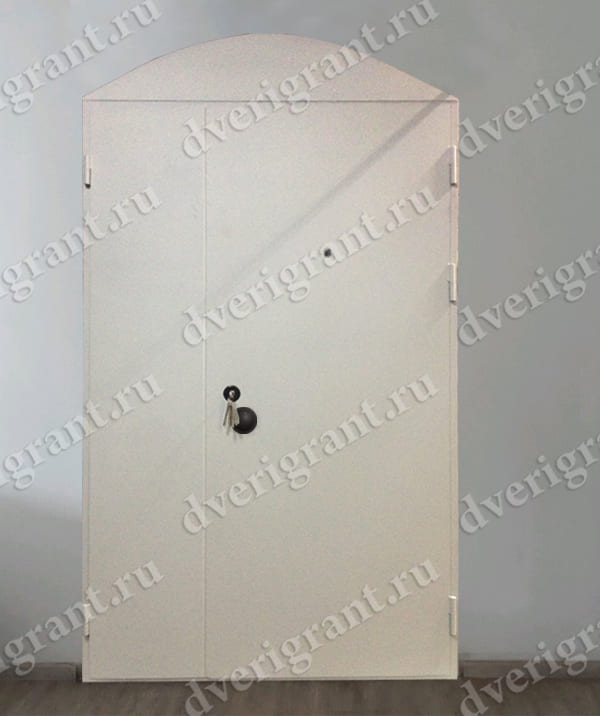 Металлическая дверь - модель - 10-53