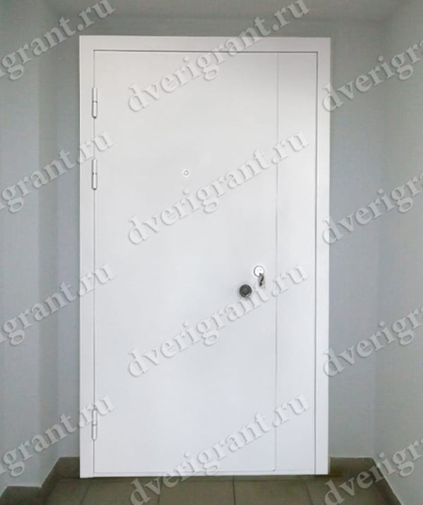 Металлическая дверь - модель - 10-54