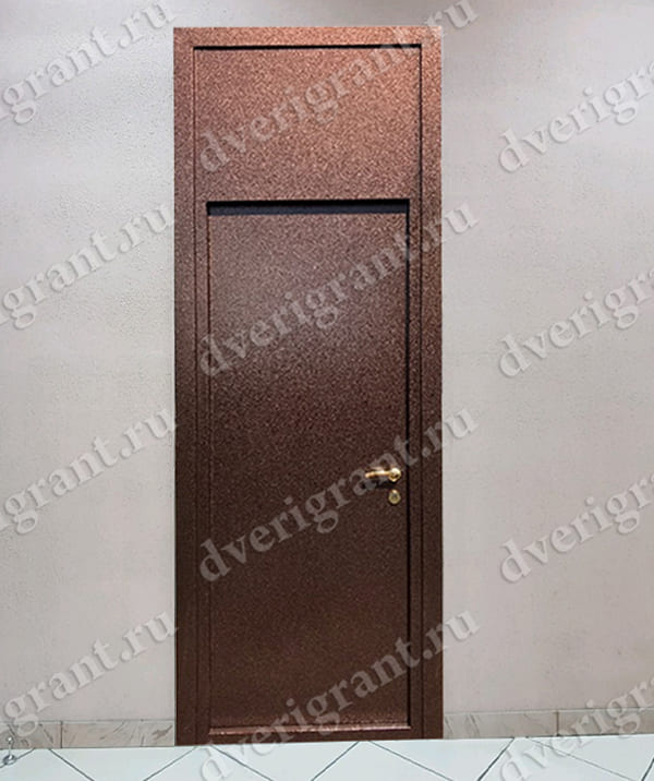 Металлическая дверь - модель - 10-55